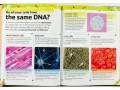 The DNA Book