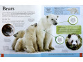 Children's Encyclopedia of Animals