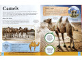 Children's Encyclopedia of Animals