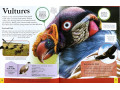 Children's Encyclopedia of Animals