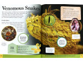 Children's Encyclopedia of Animals