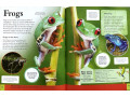 Children's Encyclopedia of Animals
