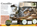 Children's Encyclopedia of Animals