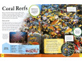 Children's Encyclopedia of Animals