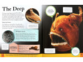 Children's Encyclopedia of Animals