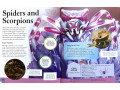 Children's Encyclopedia of Animals