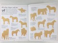 Horses. The Ultimate Glow in the Dark Sticker Book