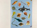 Ocean. The Ultimate Glow in the Dark Sticker Book