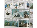 Tintin 23 Books Collection