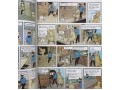 Tintin 23 Books Collection