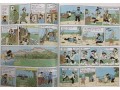 Tintin 23 Books Collection