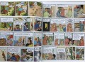 Tintin 23 Books Collection