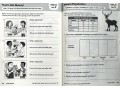УЦЕНКА. Evan Moor Daily Higher-Order Thinking, Grade 3