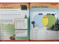 Skill Sharpeners Critical Thinking, Grade 2