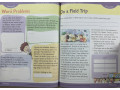 Skill Sharpeners Critical Thinking, Grade 3