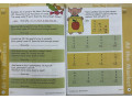 Skill Sharpeners Math, Grade 2