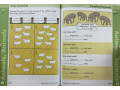 Skill Sharpeners Math, Grade 2