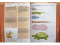 Skill Sharpeners Math, Grade 4