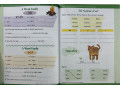 Skill Sharpeners Reading, Grade 2 Skill Sharpeners Reading, Grade 2