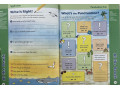 Skill Sharpeners Grammar and Punctuation, Grade 2