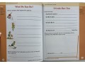 Skill Sharpeners Spell & Write, Grade 1