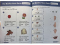 Smart Start STEM, Grade PreK Smart Start STEM, Grade PreK