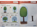 Smart Start STEM, Grade PreK Smart Start STEM, Grade PreK