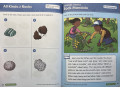 Smart Start STEM, Grade PreK Smart Start STEM, Grade PreK