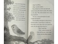 The Owl Who Was Afraid of the Dark