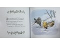 Winnie-The-Pooh. Pooh's Christmas Adventure