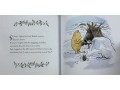 Winnie-The-Pooh. Pooh's Christmas Adventure