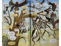 Science Comics: Birds of Prey: Terrifying Talons