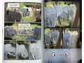 Science Comics: Elephants: Living Large