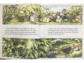 The Complete Brambly Hedge