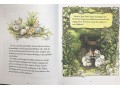 The Complete Brambly Hedge