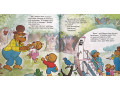 The Berenstain Bears 28 Picture Books Collection