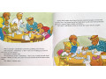 The Berenstain Bears 28 Picture Books Collection