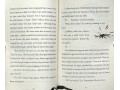 The Boy Who Grew Dragons