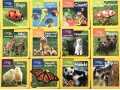 National Geographic Kids: Look and Learn. 12 Books Set