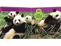 National Geographic Kids: Look and Learn. 12 Books Set