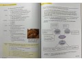 Reading Explorer Foundation