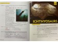 Reading Explorer Foundation