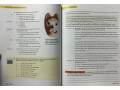 Reading Explorer 1