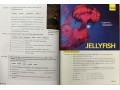 Reading Explorer 4