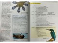 Reading Explorer 4