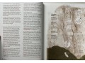 Reading Explorer 5