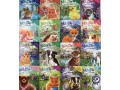 Magic Animal Friends 16 Book set