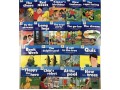 Oxford Story Tree Levels 1-3. 52 Books Boxed Set