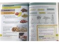 Oxford International Primary Science 1