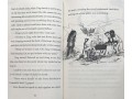 The Boy Who Grew Dragons 5 Books Collection